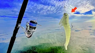 Fishing this *HUGE* SHRIMP JIG! in the BAY for GIANTS! [EPIC RESULTS]