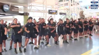 Dream Rugby Fukuoka | Welcome Haka at Auckland Airport