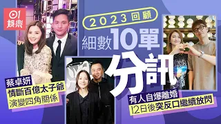 【2023娛樂大事回顧】10對藝人夫妻或情侶經歷離婚或分手　蔡卓妍傳被撬牆腳有人宣布離婚後突然反口｜01娛樂｜蔡卓妍｜洪卓立｜劉沛蘅