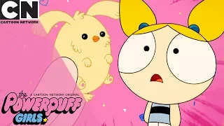 The Powerpuff Girls | Cutest Little Pet | Cartoon Network