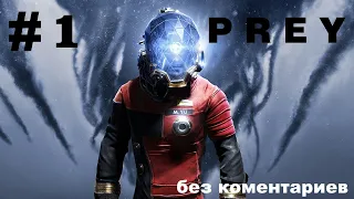 Prey. #1