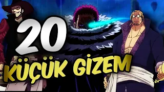 ONE PIECE'TEKİ 20 KÜÇÜK GİZEM | Küçük Gizemler #1