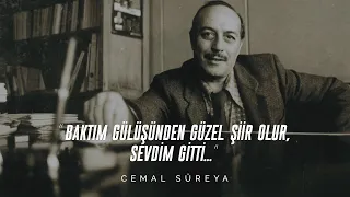 Cemal Süreya - Baktım Gülüşünden Güzel Şiir Olur, Sevdim Gitti