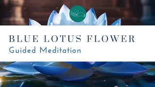 Blue Lotus Flower Meditation Expand Your Consciousness - Connect to Divinity - Ritual Oils Discount