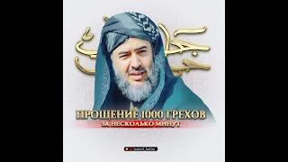 ДЖАМИЛЬ ХЬАЛИМ - ПРОЩЕНИЕ 1000 ГРЕХОВ ЗА НЕСКОЛЬКО МИНУТ