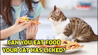 Is It Safe To Eat Food A Cat Has Licked?