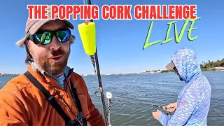 Popping Cork Challenge (LIVE)