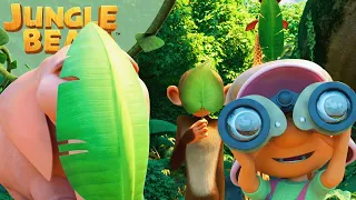 Where Are They? | Jungle Beat | Cartoons for Kids | WildBrain Toons