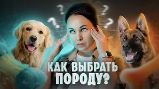 Как выбрать породу собаки? - 7 советов