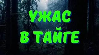 Расследование в заброшенной деревне/ Страшилки про тайгу/Страшные истории про деревню