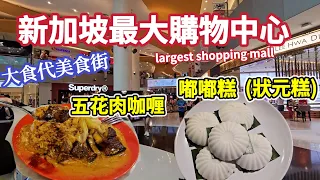 The largest shopping mall in SG ,pork belly curry rice, coconut paste rice cake,vivo city