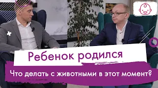 Влияние Домашних Животных на Развитие Ребенка: Плюсы и Минусы по Мнению Медицинского Эксперта