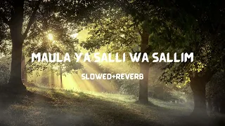 Maula Ya Salli Wa Sallim | By Abu Ubayda | Naat | slowed & reverb