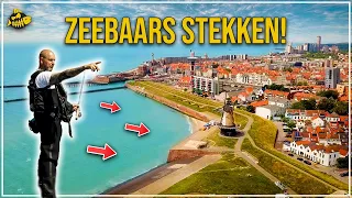 ZEEBAARS IN ZEELAND - Tips, Tricks en Stekken!