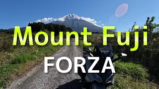 [Forza] Mt. Fuji Touring 2023 Autumn [MF17]