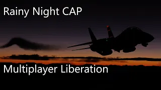 Time for a Night CAP (sortie?) - DCS F-14 Liberation