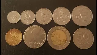 Монеты Грузии! Georgian coins! Грузия! Лари! Тетри!