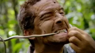 man vs wild in Hindi 2023 full episode man vs wild with bear Grylls 2023