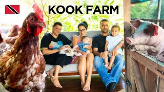 Impressive Family-Run Regenerative Farm in Chickland, Trinidad & Tobago 🇹🇹 Foodie Nation Feature