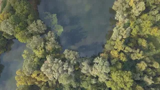 Die Stadt Lauffen am Neckar aus der Vogelperspektive