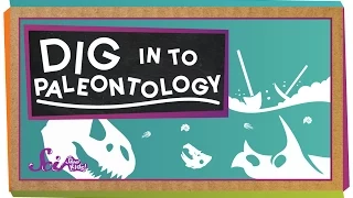 Dig In To Paleontology