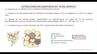 Generalidades: Obesidad, tejido adiposo y resistencia a la insulina: aspectos biológicos...