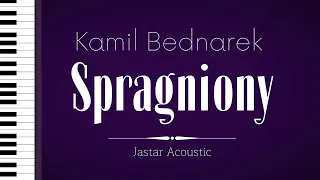 Kamil Bednarek - Spragniony / Karaoke / Piano Instrumental