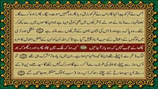 QURAN PARA 21 JUST/ONLY URDU TRANSLATION WITH TEXT(FATEH MUHAMMAD JALANDRI) HD