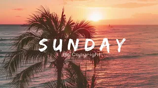 Niwel - Black Blood《Sunday No Copyright Music》