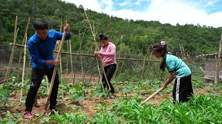 Making a Melon and Bean Platform, Building a Sink, Digging Drainage Trenches | Family Farm