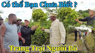 Công Giáp || Những Điều Bất Ngờ Đến Không Tưởng Khi  Bác Trưởng Bản Mới Dẫn Tới Trang Trại Người Bồ