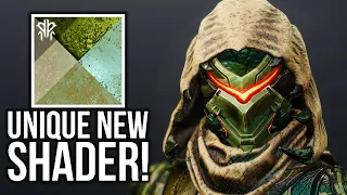 Bungie Need To Make More Shaders Like This! Unique New Shader! - Season of the Plunder