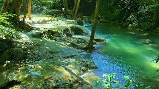 Peaceful forest river. Turquoise water stream flowing. Nature sounds for sleep, relax