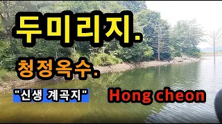 [홍천]_ 두미리지 / 신생 청정옥수 계곡지 / 토종터 / 강원도 홍천군 서면 두미리 145