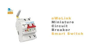 eWeLink Miniature Circuit Breaker(MCB) Smart Switch, APP/Alexa,Google Home Control