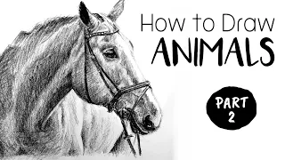 How to Draw & Sketch Animals - Part 2