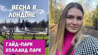 ЖИЗНЬ В АНГЛИИ ВЕСНА В ЛОНДОНЕ ГАЙД ПАРК ХОЛЛАНД ПАРК АНГЛИЯ