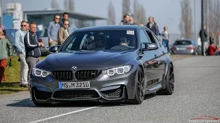LOUD BMW M3 F80 w/ Alphamale Straight Pipes - Crazy Revs & Acceleration !