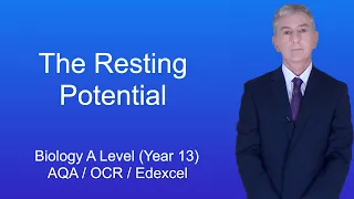 A Level Biology Revision (Year 13) "The Resting Potential"