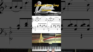 Schubert Swan Song | Serenade | Piano Version |