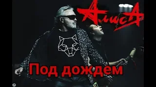 АЛИСА. ПОД ДОЖДЕМ. LIVE.