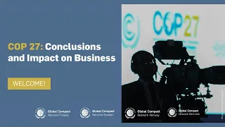 COP 27: Conclusions and Impact on Business