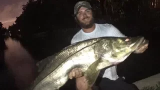 O'Gorman Lunker Snook Fishing