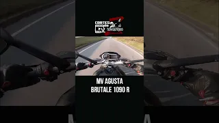 Cortes Rodolfinho da Z- MV AGUSTA BRUTALE 1090 R