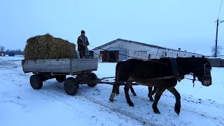 Необычная история о том, как сварщик на Овцеферму работать пошел!