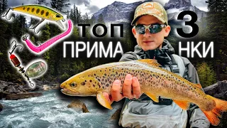Brown TROUT Fishing 2022