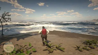 RDR2 - The only way to send Dutch to Tahiti