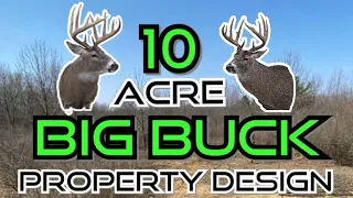 Big Buck Deer Property Design | Attract Mature Bucks This Year |