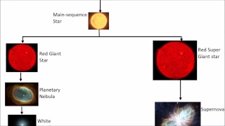 Life Cycle of a Star | GCSE Science | Physics | Get To Know Science