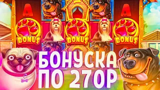 ОТЛИЧНАЯ ИГРОВАЯ СЕССИЯ В DOG HOUSE С ЗАНОСОМ ПО БОЛЬШОЙ СТАВКЕ | ЗАНОС DOG HOUSE